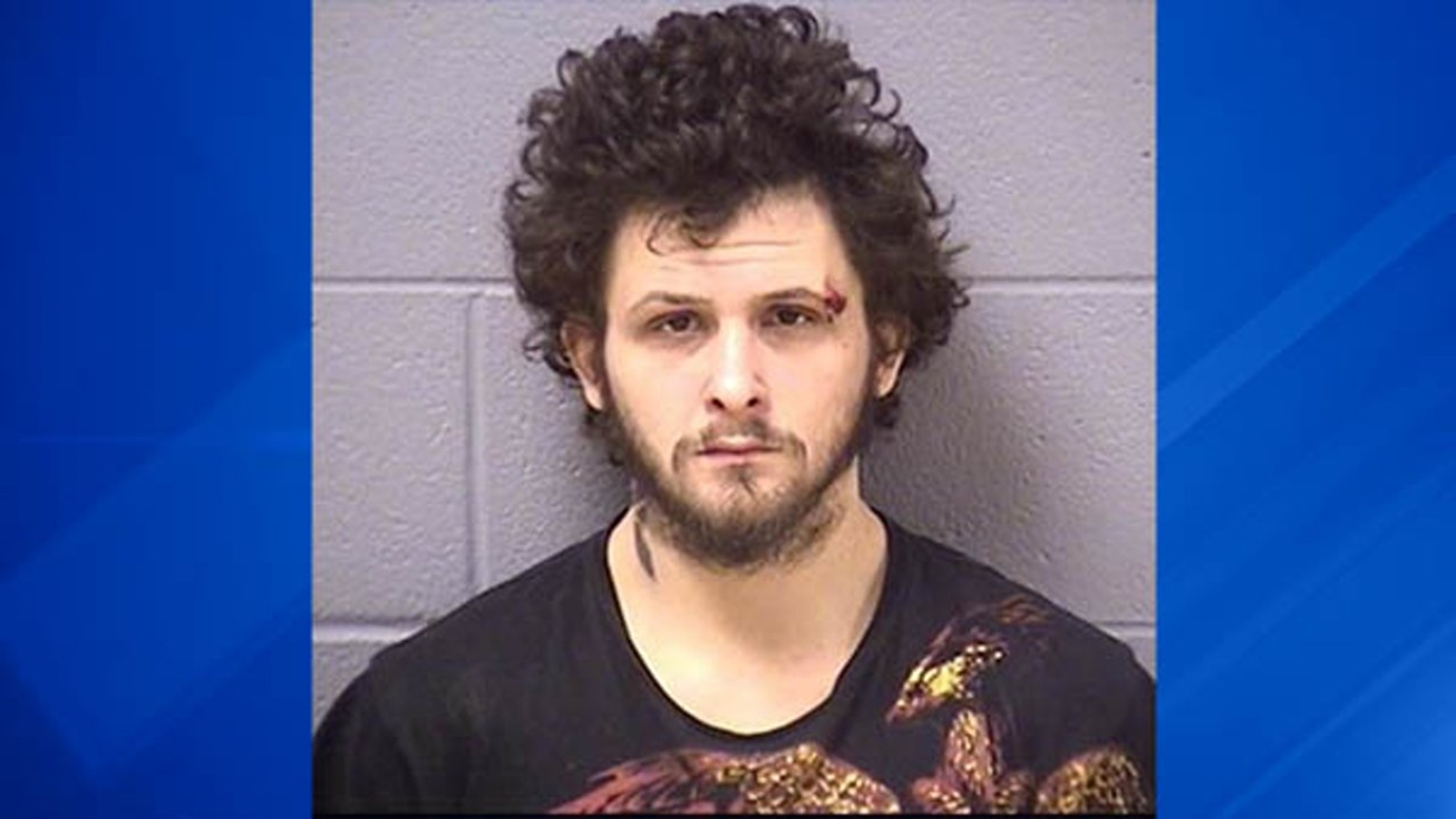 Lockport man gets 9 years for beating fiancee with brass knuckles